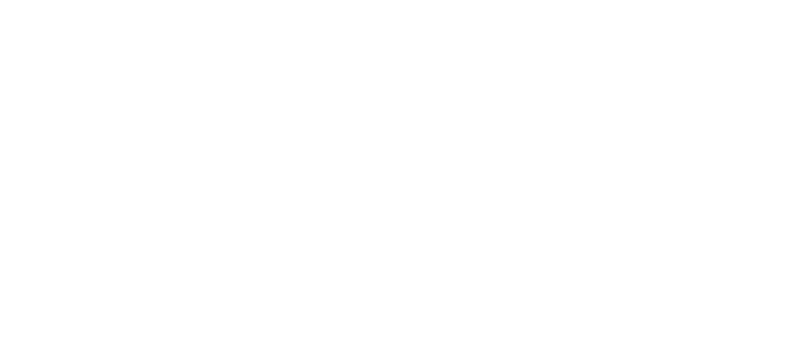Cerebras_white-1