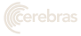 cerebras-brand 1