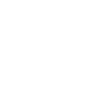 icons_Silicon freedom